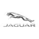 Jaguar / Ягуар